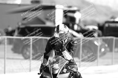 media/Feb-23-2025-2WTD (Sun) [[9604a77d5d]]/1-Around the Pits/